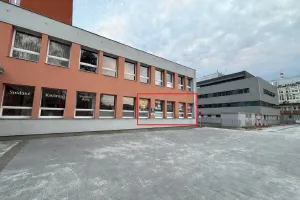 fotografie